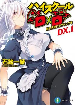 Средняя школа DxD DX