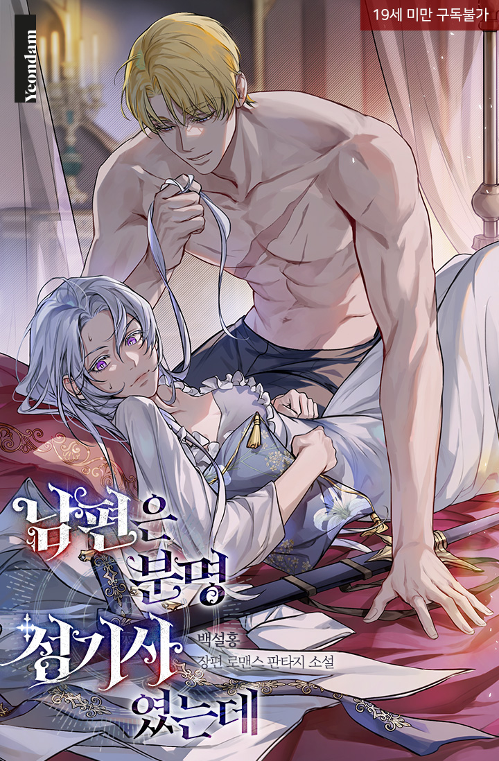 Святая ночь: Мой муж определенно паладин