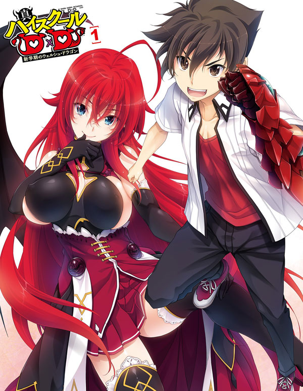 Средняя школа Шин DxD