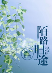 Путешествие незнакомца домой