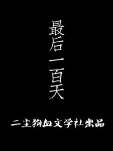 Последние 100 дней